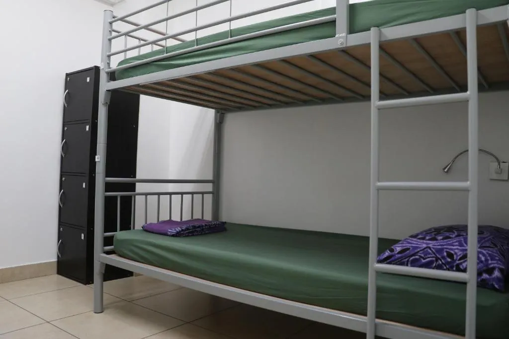 Bunk Bed in Mixed Dormitory Room