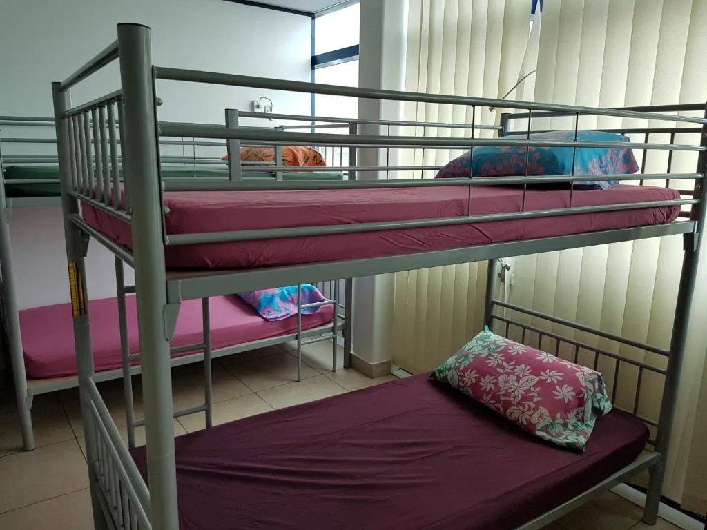 Bunk Bed in Mixed Dormitory Room