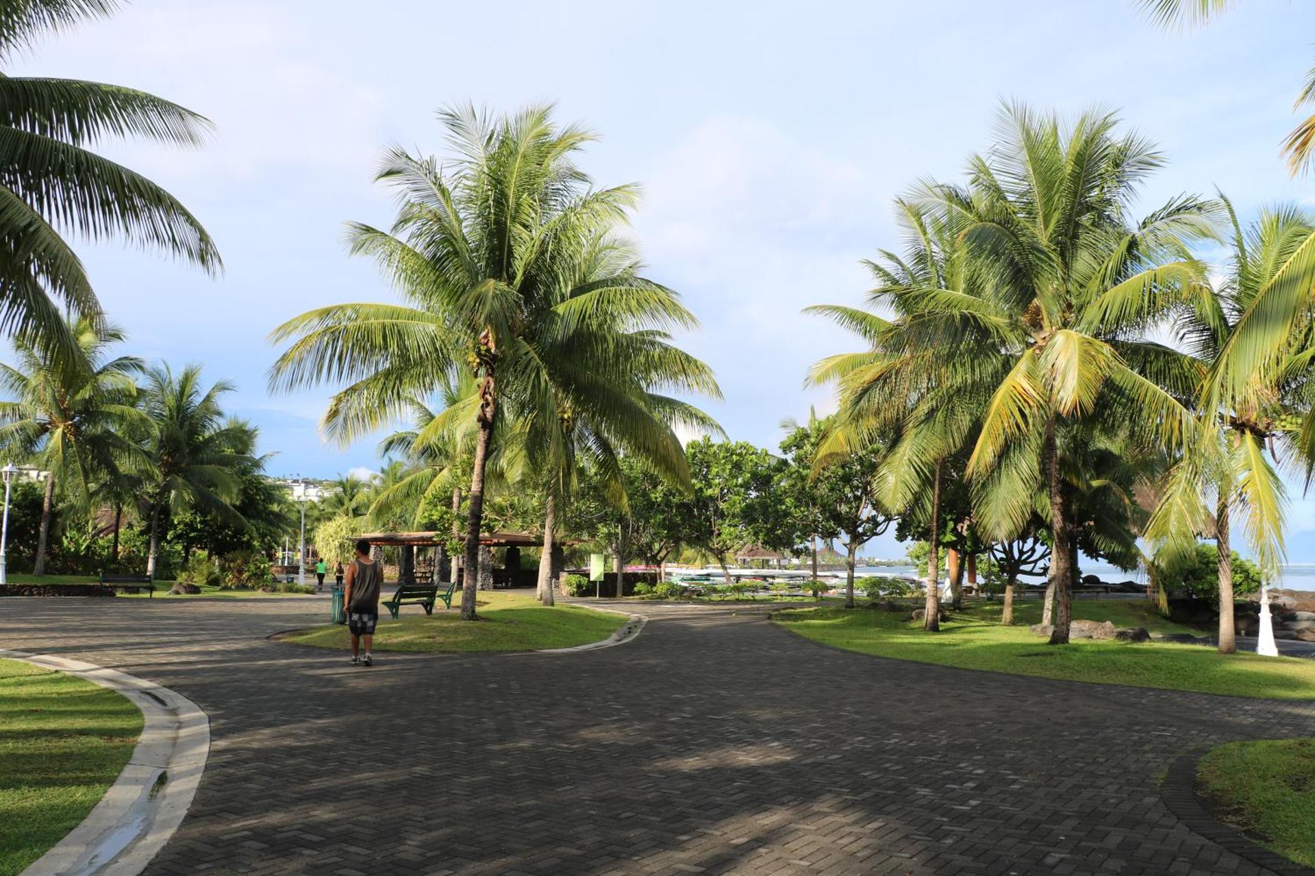 Mahana Lodge Hostel & Backpacker